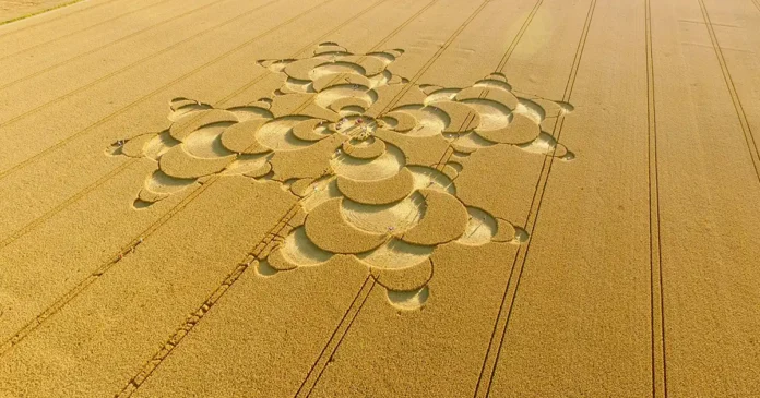 Beyond Crop Circles - Investigating Unexplained Phenomena in Fields