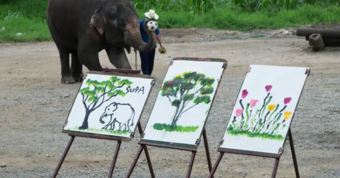 Elephants Who Paint