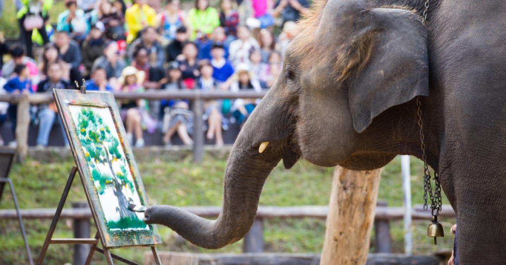 Elephants Who Paint