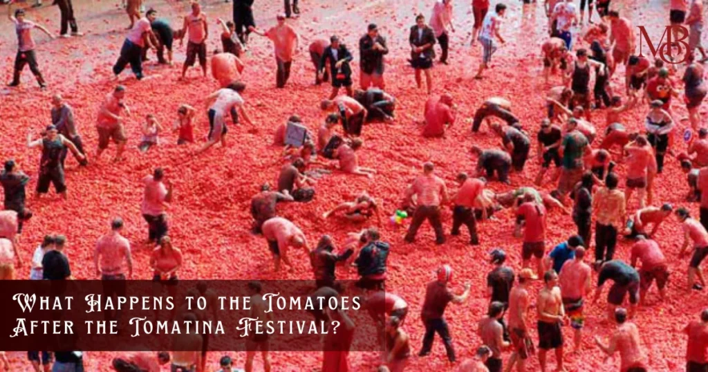 What Happens to the Tomatoes After the Tomatina Festival?