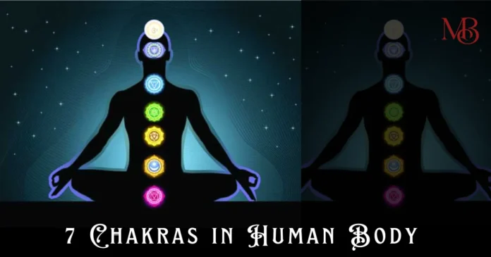 7 Chakras in Human Body