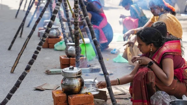 Pongal (Tamil Nadu)