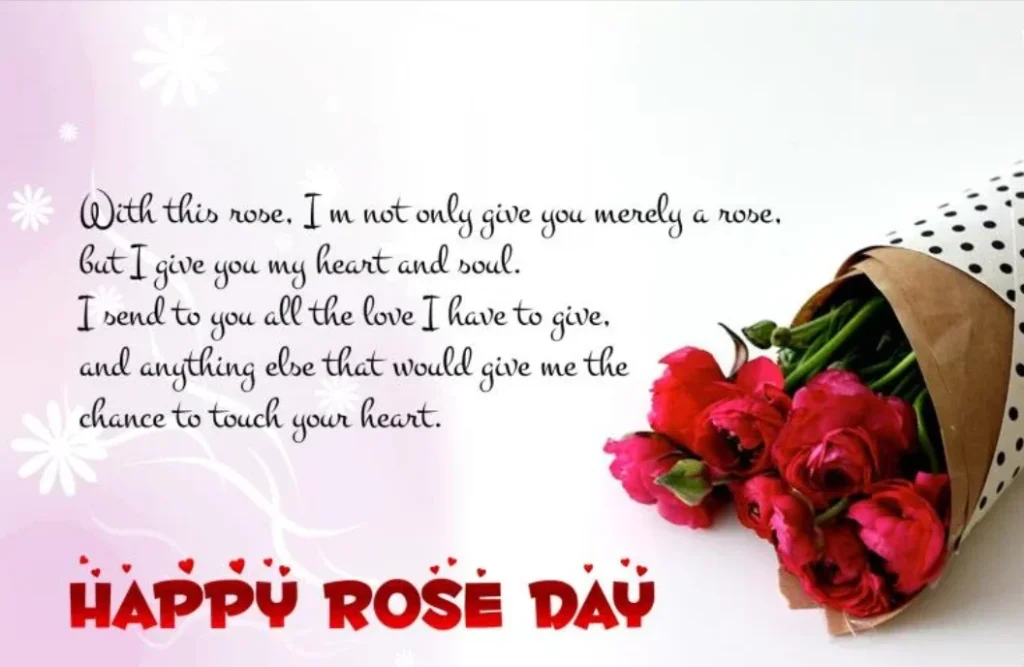 rose day
