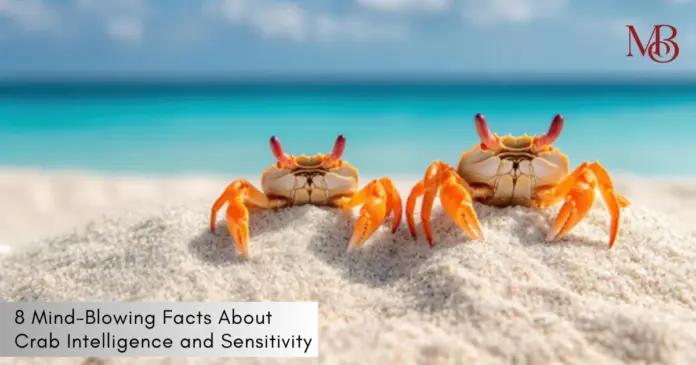 Crab Intelligence and Sensitivity