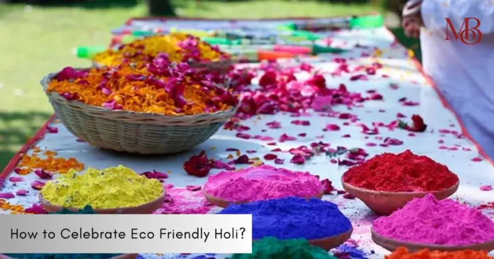 How to Celebrate Eco Friendly Holi?